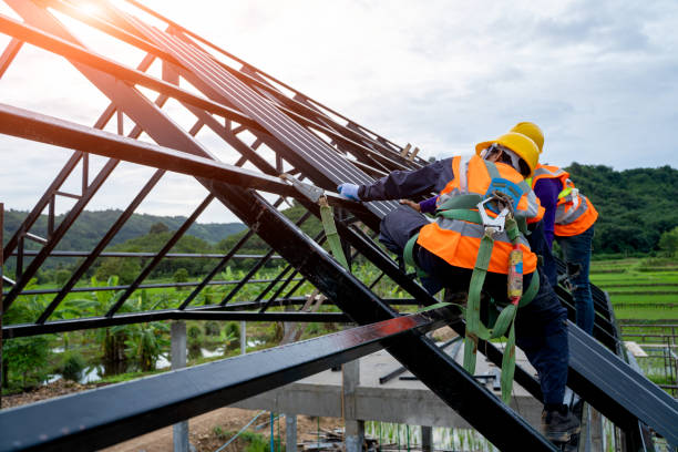 Best Commercial Roofing Services  in Lolo, MT